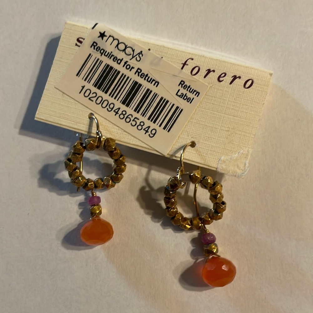 Pierced earrings